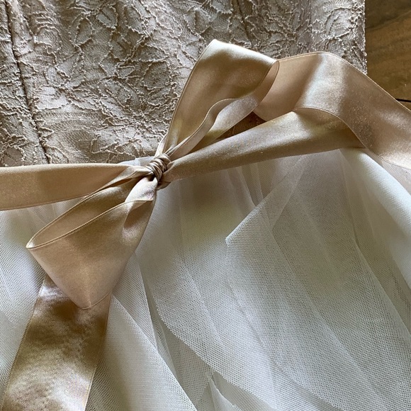 Blush and white lace and tulle short dress - Picture 3 of 4